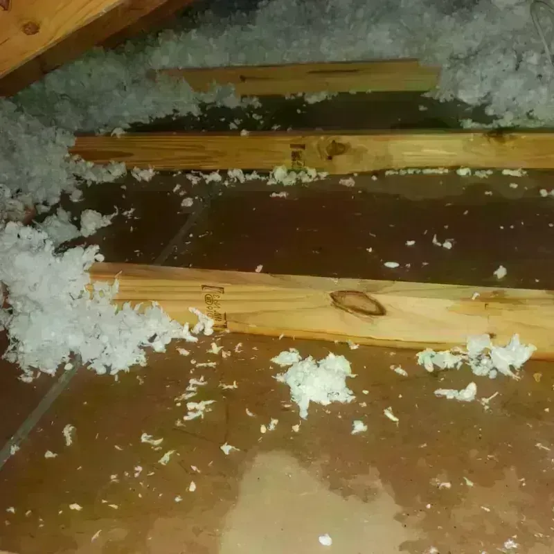 Attic Water Damage in Eagle River, WI